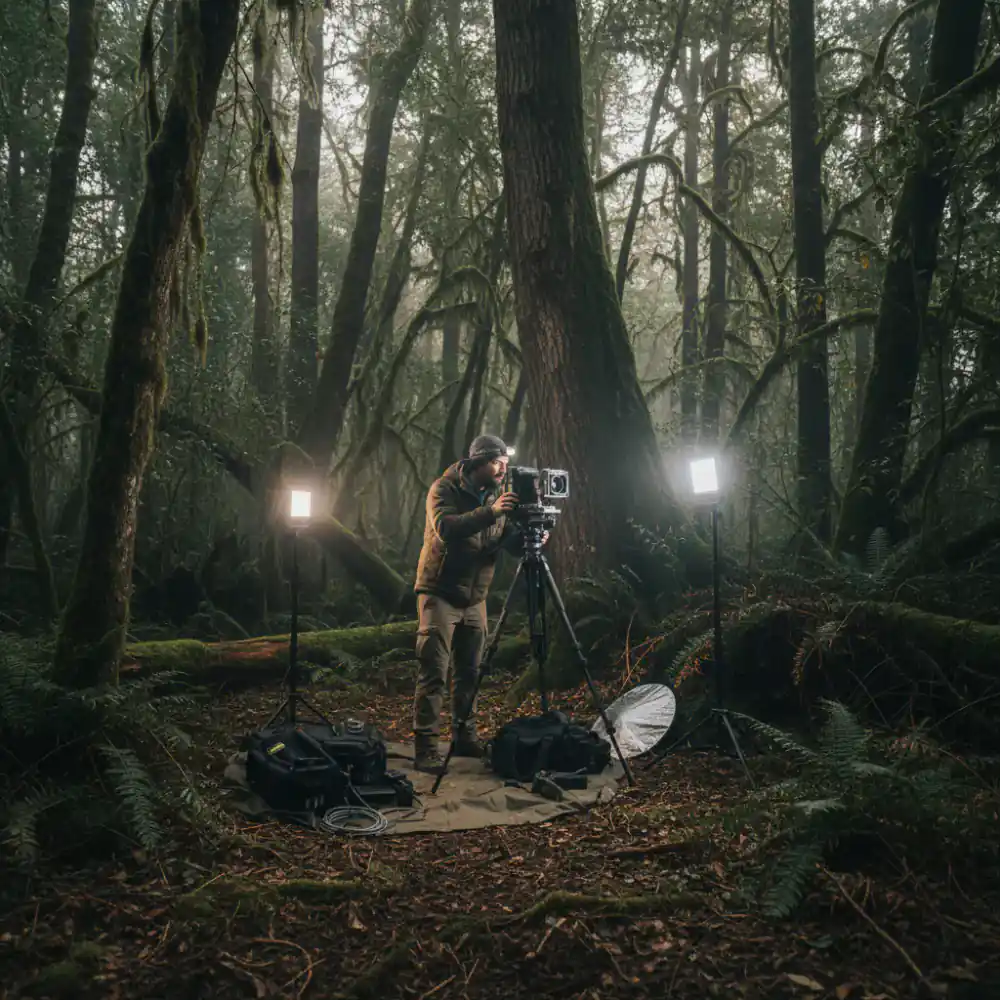 Photographer setting up equipment in a dense forest