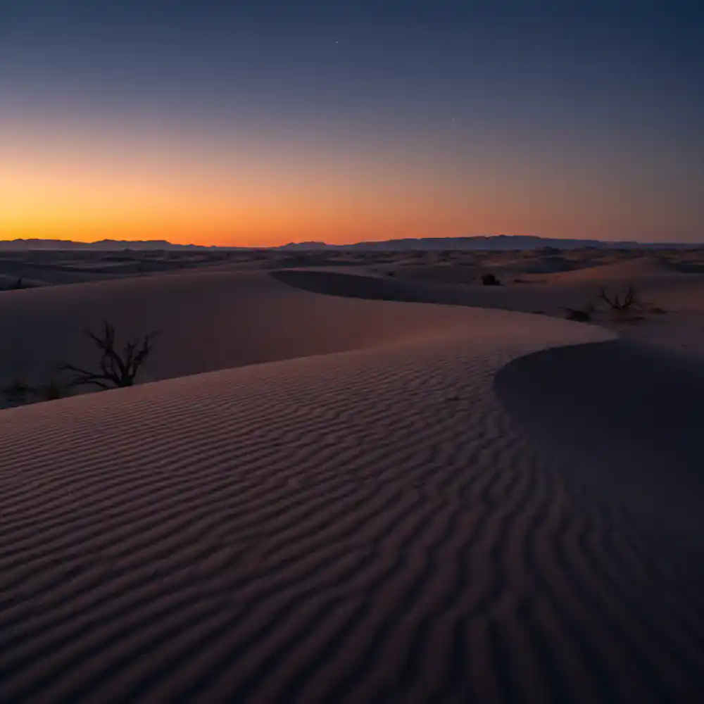 Sweeping sand dunes in a vast desert